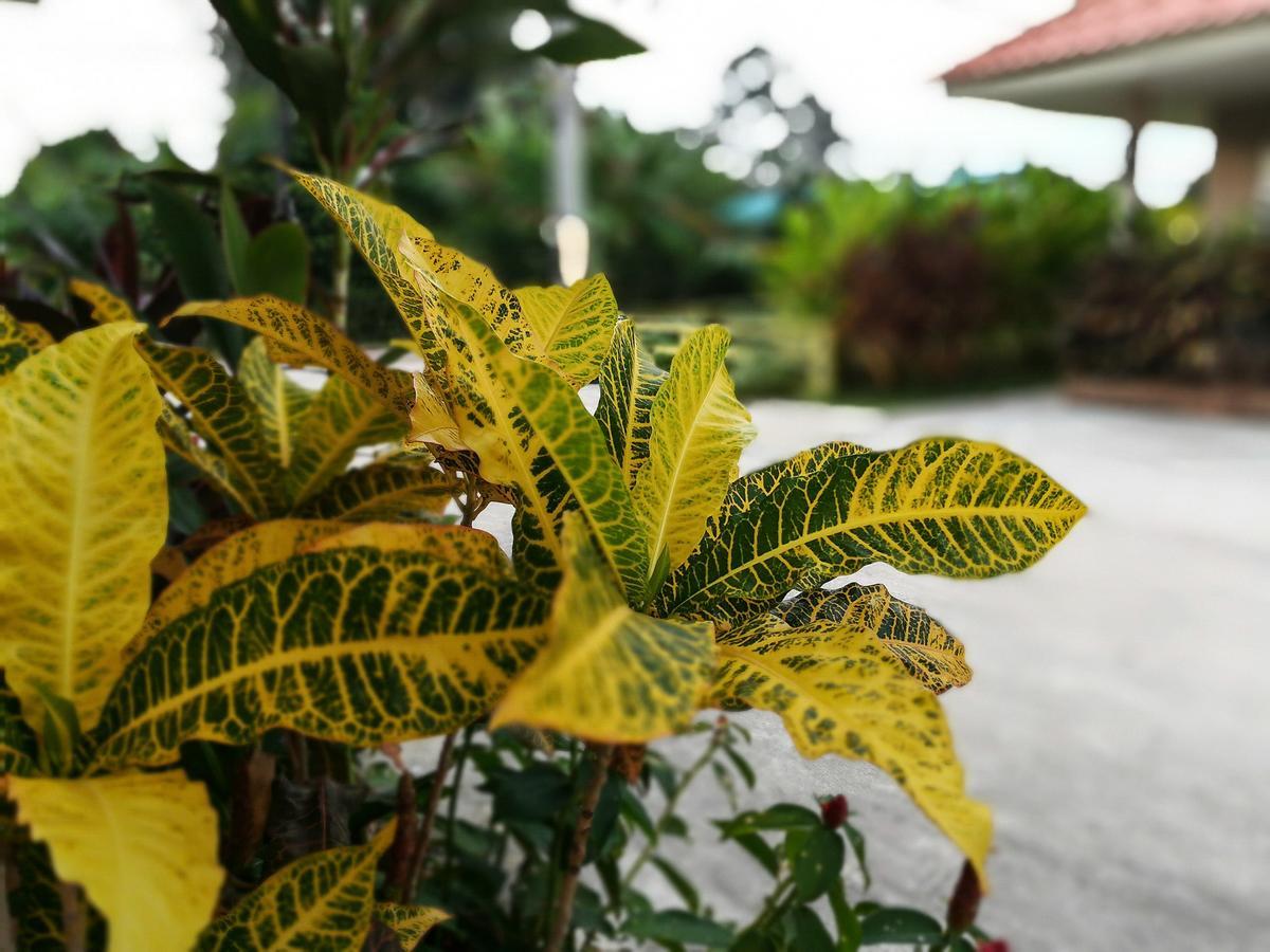 Deva Garden Resort Prachinburi Exterior photo